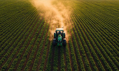 Projet Agro-industriel de Lubumbashi